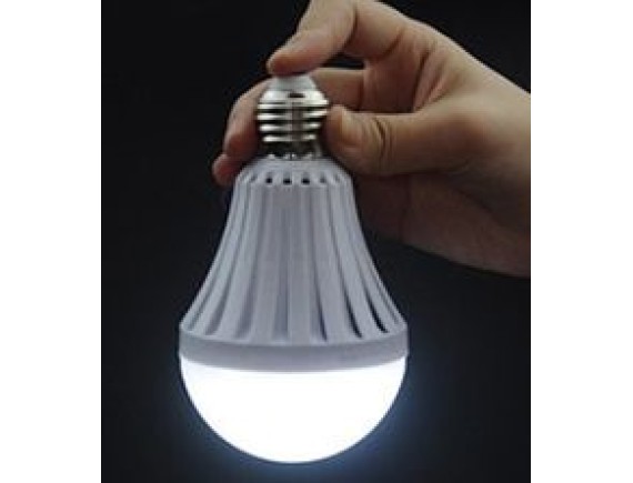 BULBS 